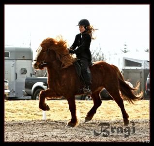 Vetrarleikar III 2012